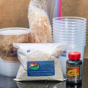 Fruit fly starter kit with Repashy